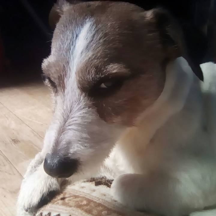 90626e10 ee2c 4c28 a8b5 e18536825bed