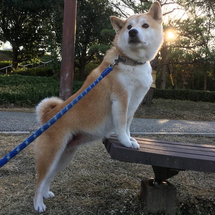 90629fbc 07c4 41af af40 e1a4a3b342ac