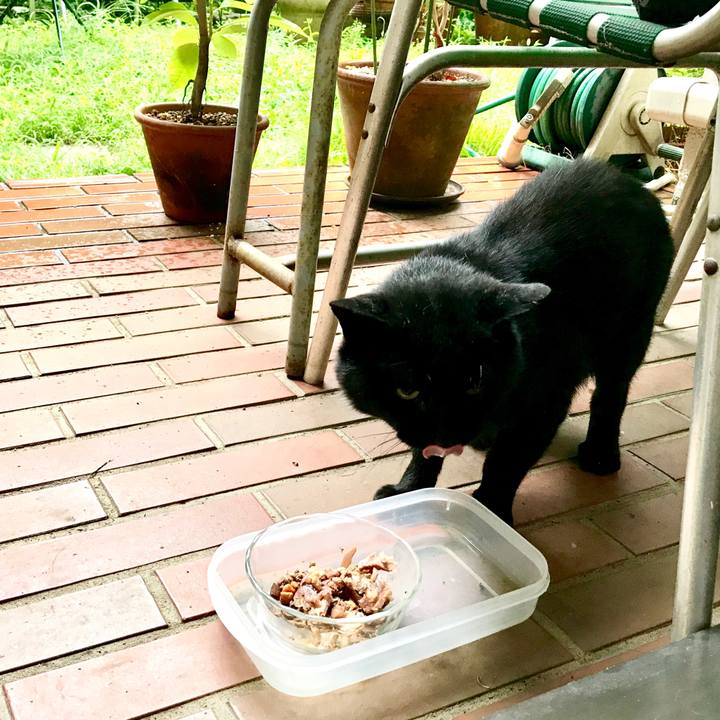 9063ac5c d900 4a28 867f 2ec69c81f940