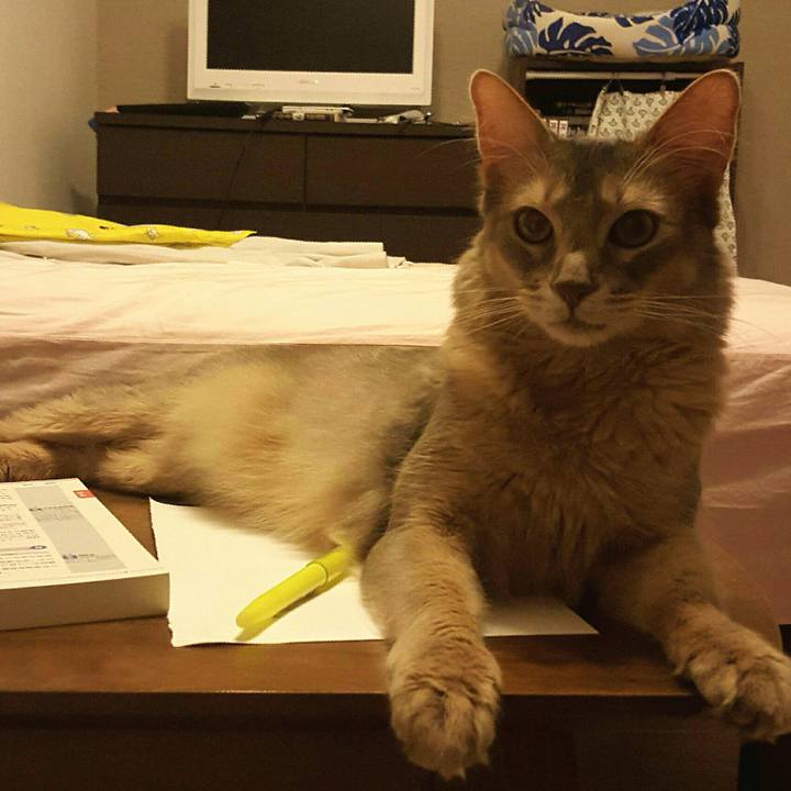 90648631 4905 4e55 95a7 efafb8f64852