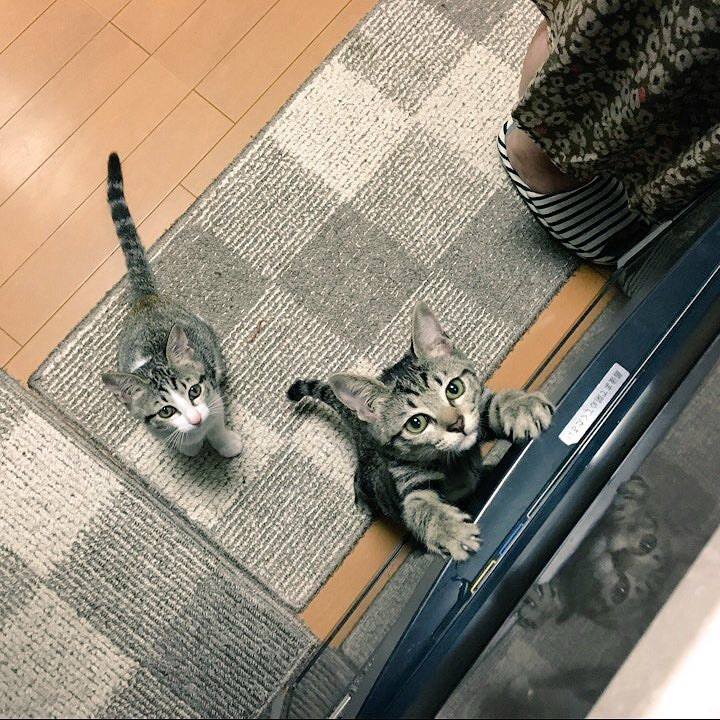 90648b5f bf51 4d84 899d bb54fff7c04b