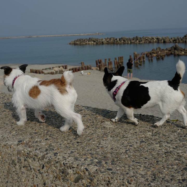 9064e5c3 a912 4e27 b9d3 5a8ce24462cf