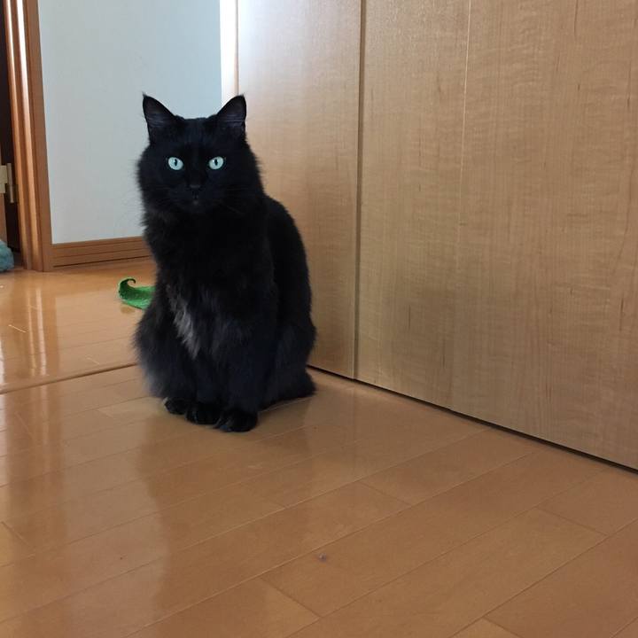 90658dfb 128f 4411 95cf bd73821987c2