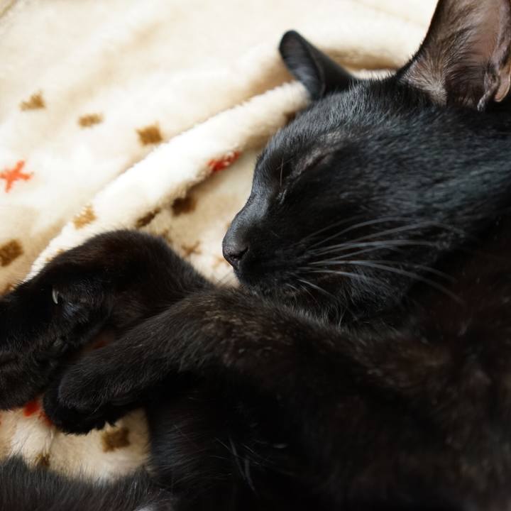 9065ae9b ffab 4f7b 897d 196b80885566