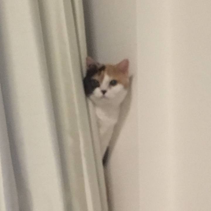 906602f1 14ca 4b19 b122 ce017b59a272