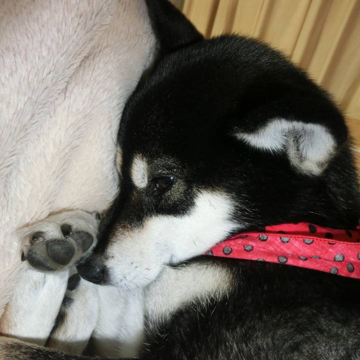 9066bc2f 9ea7 4461 b108 7f0a499ec0b2