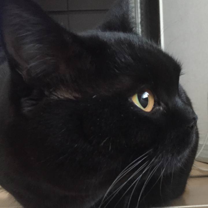 9066fb6a a11b 4456 98ef cc7e36df5d9a