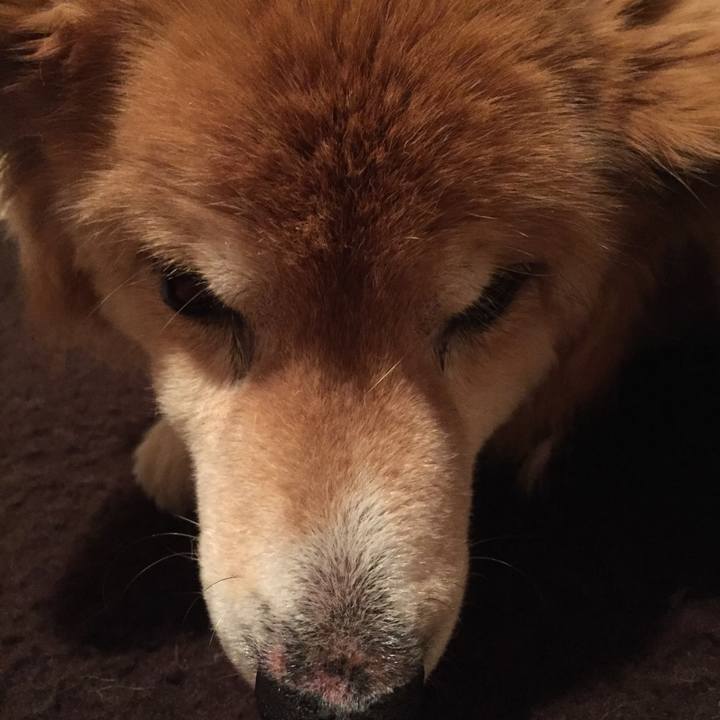 90675bbd c1cf 4642 8f99 52af6dd11a6f