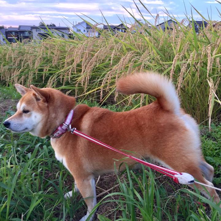 90677075 e3bf 4c3b 9fb5 01d61f97a01b