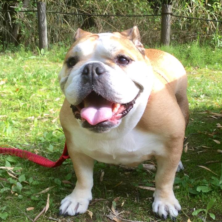 9067c406 1fa7 41b2 a362 a0c1ee137625