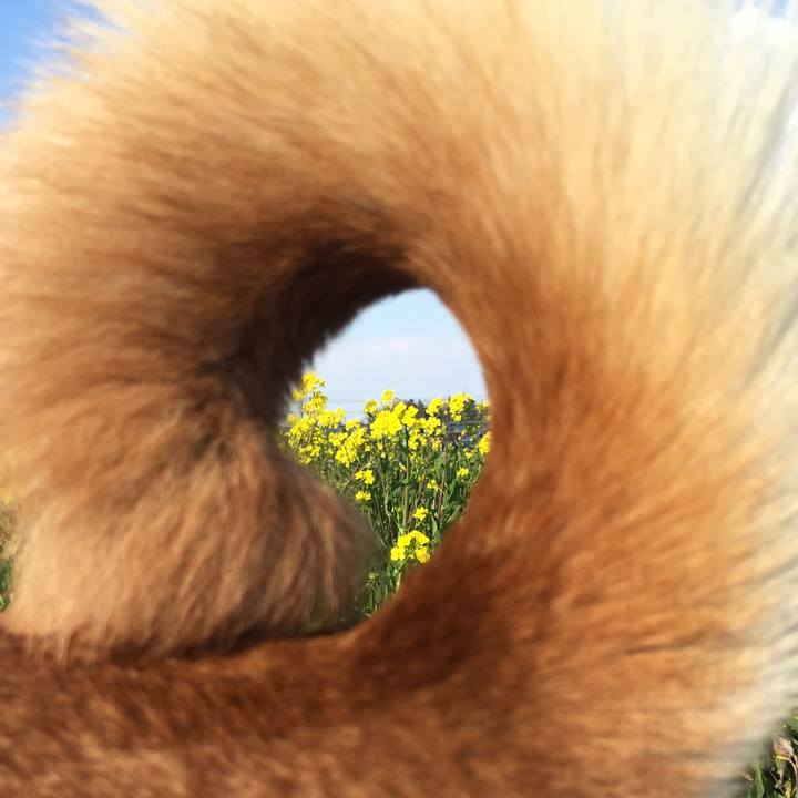 9067e3de 562b 4c21 8371 09e01d2fb992