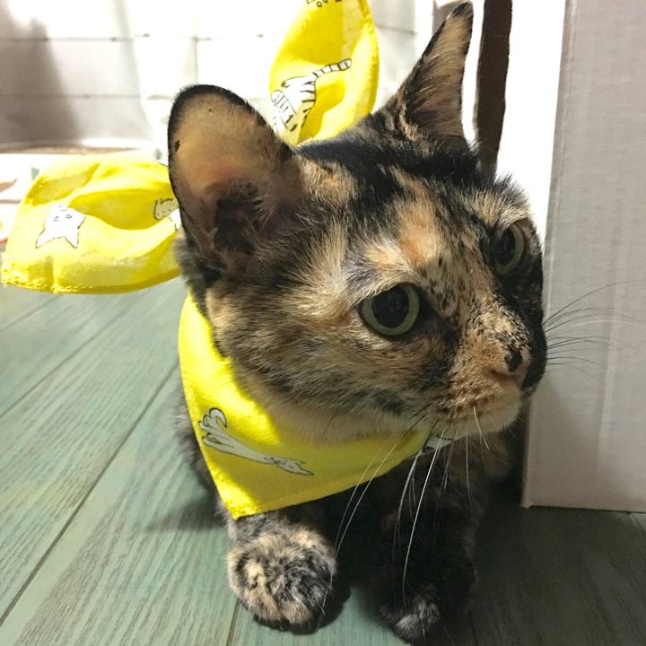 9068b416 d7ae 47c1 b5e6 1706c999972a