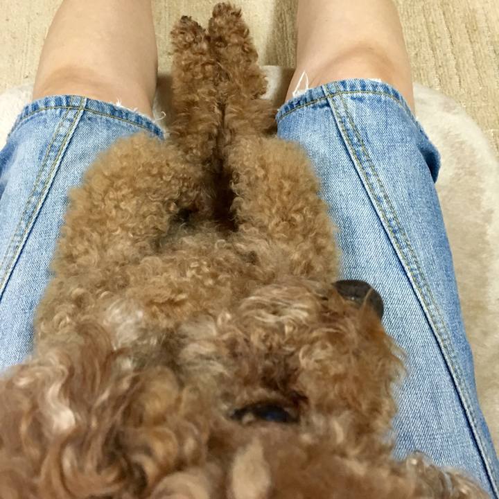 9068cb17 3819 45ba afd0 54d7331eb23f