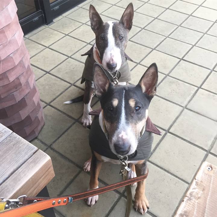 9068fb6e 1b6d 4115 8059 00f8d4856674