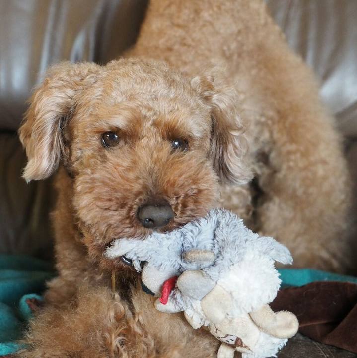 906978ed 337c 4e5e 87f1 17258fe607a4