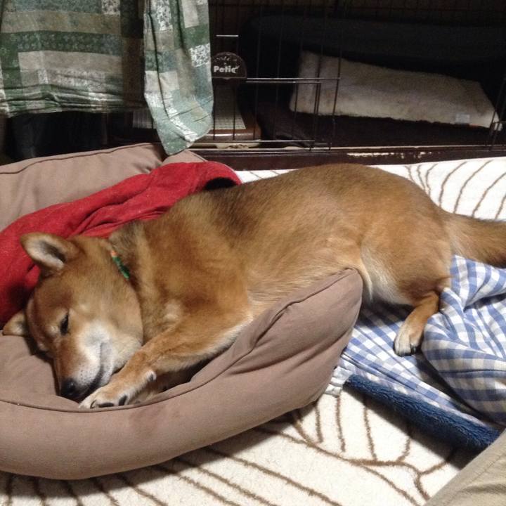 9069a115 4b2b 4a4b a409 15828aef6a19