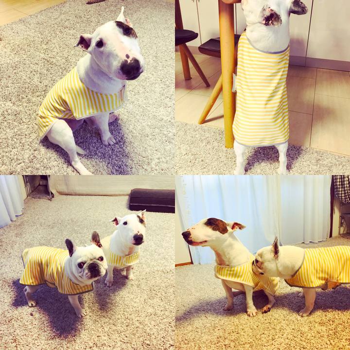 9069f66c a823 47f1 b99b df565117e611