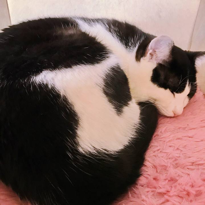 906a3e15 7730 4c9b 855e ea7849d5bf76