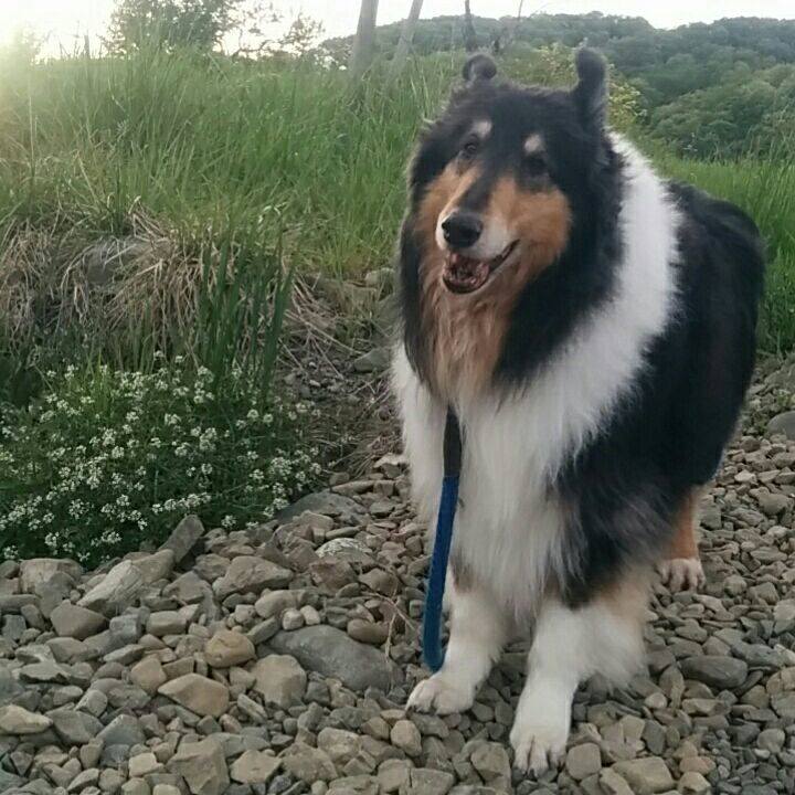 906a5cfc 8aba 4fe9 bc41 d6a1cdd77aac