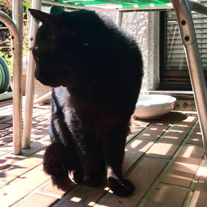 906ac16f 536b 4034 8c2e 5f1b8beb6281