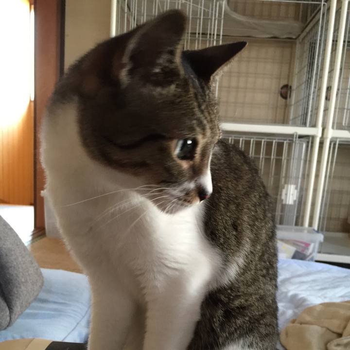 906b194e bdf7 47b7 8a00 2c8dea5b69db