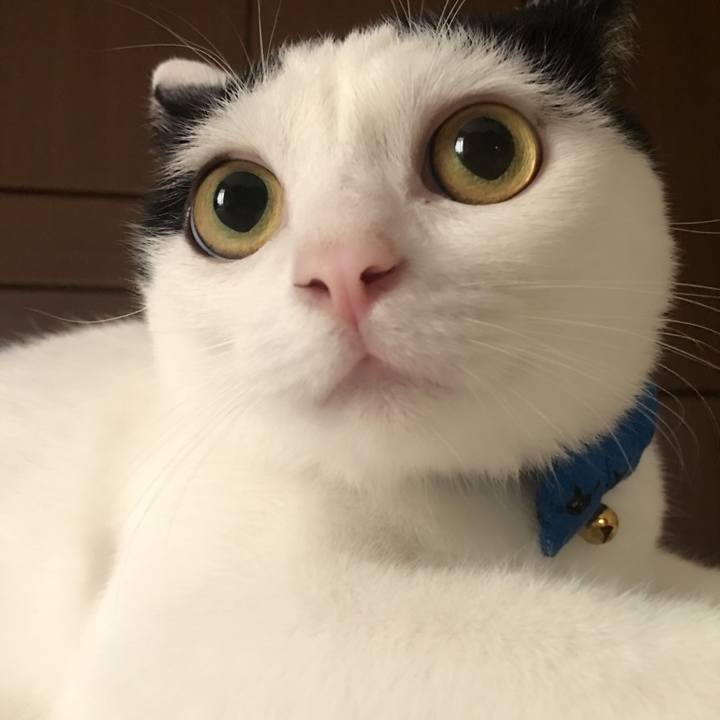 906b303f 0925 4f6e 98ba bb2eb3b73db4