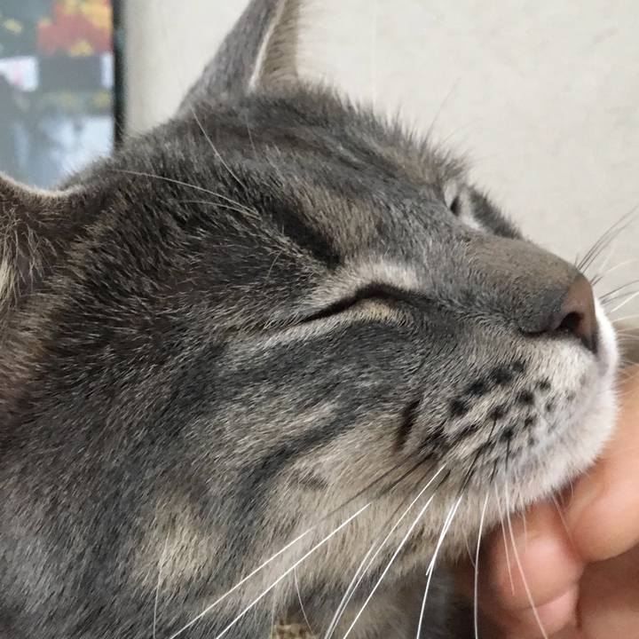 906b3fe3 f3a6 41e4 bf9d 5947f1293d9b