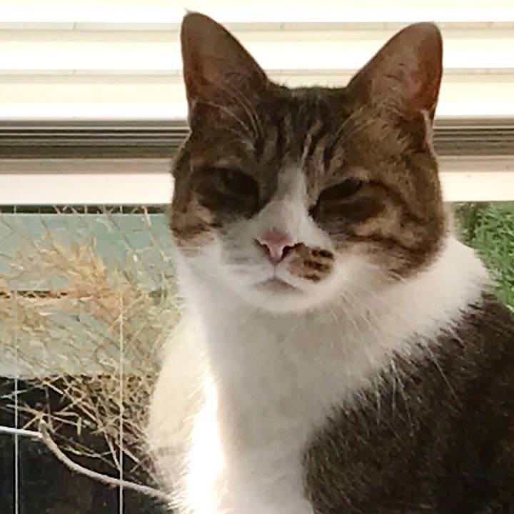 906b41fe cfa4 448c aee5 156acd3c47fc