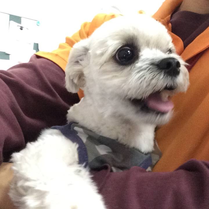 906ba012 133c 442d a050 1cc07d999a19