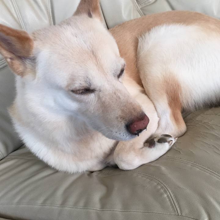 906beb5e 3fba 4c1c 9303 c241de9f87f9