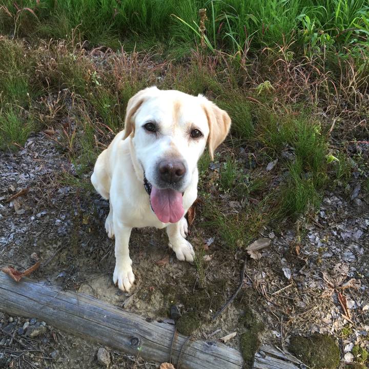 906bee6a 2760 4782 99de ff2dbaa4045b