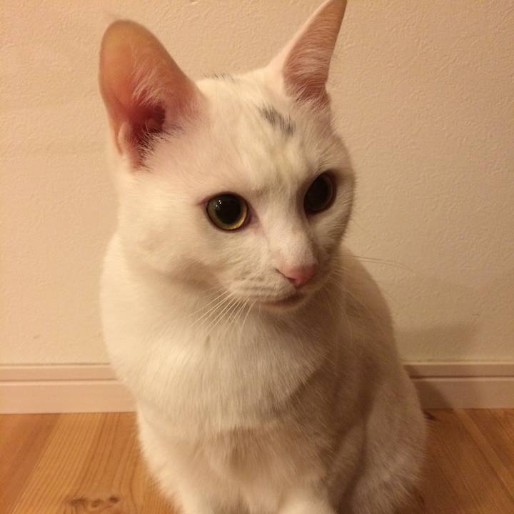 906c53a6 a531 4569 835f 2f4d2db85337