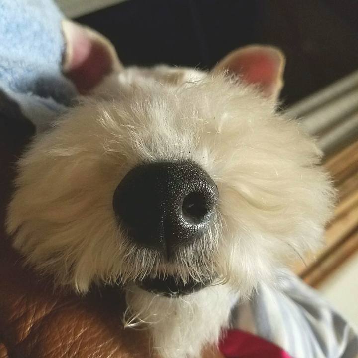 906cad15 daf2 4851 98a1 6d760b43f895