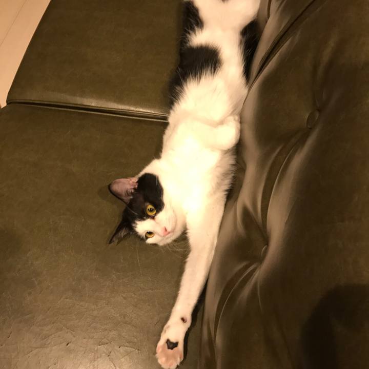 906cd745 6366 434d 9622 3b18f5b262ac