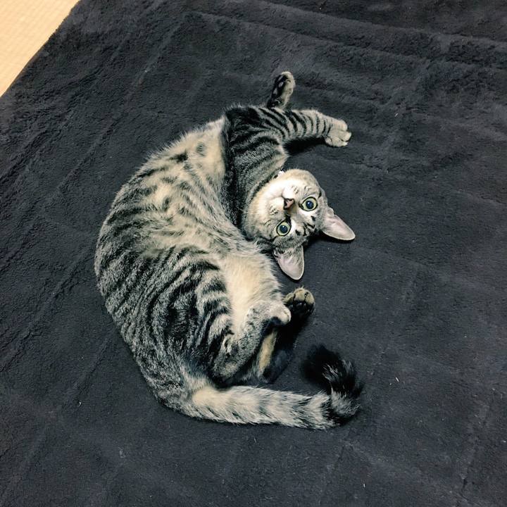 906d205f a1e2 4bd0 a724 f3eeeb3a0ac2