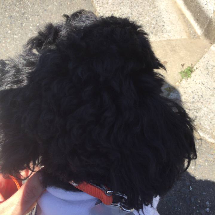 906d64da b3d5 42b4 8509 43d164429944