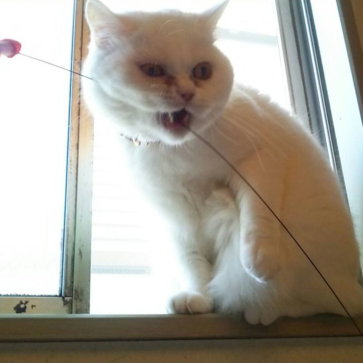 906d7920 d7b8 4dc2 bf48 d9d52f87f3e1