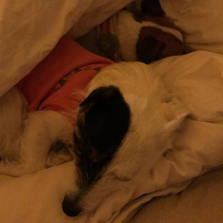 906dd7fd 83ca 4603 9a56 74839cf90afb