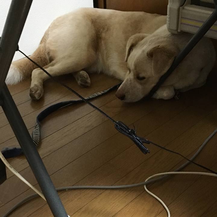 906e05c8 5ffb 47e9 9b60 b6c7368cb3f3