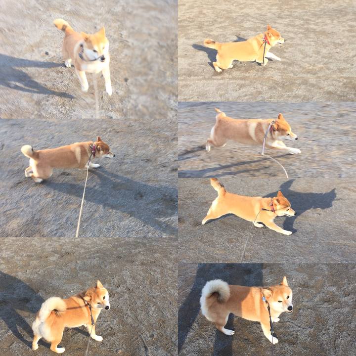 906f9779 7670 4020 bcf9 87541ebc5a99