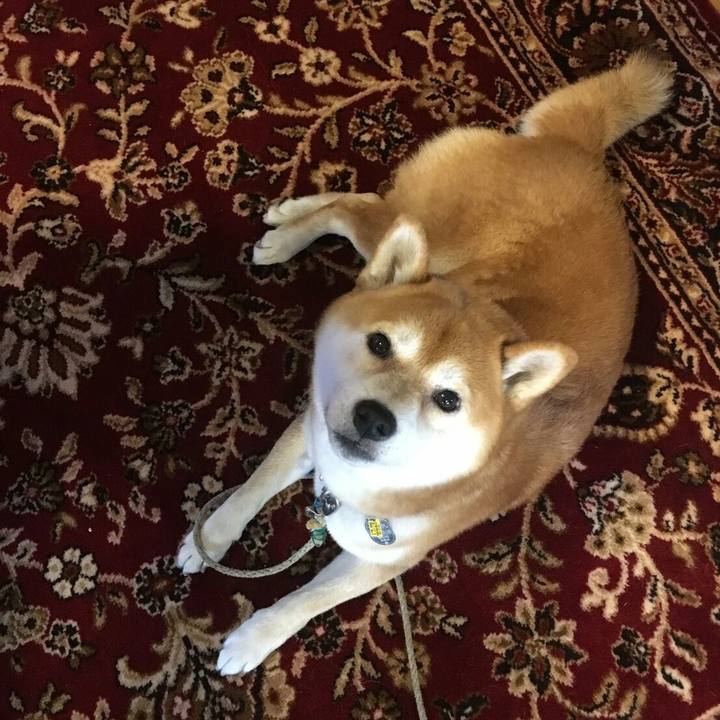 906ff9b2 95fe 4050 9f90 be696a4bb2ad