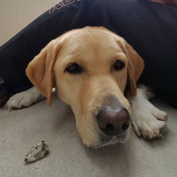 90700515 71b9 4d0b bf8d 2a5f6bcac2ba