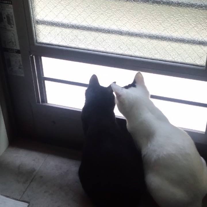 90706389 ed43 455d 8fff 994d581d3c98