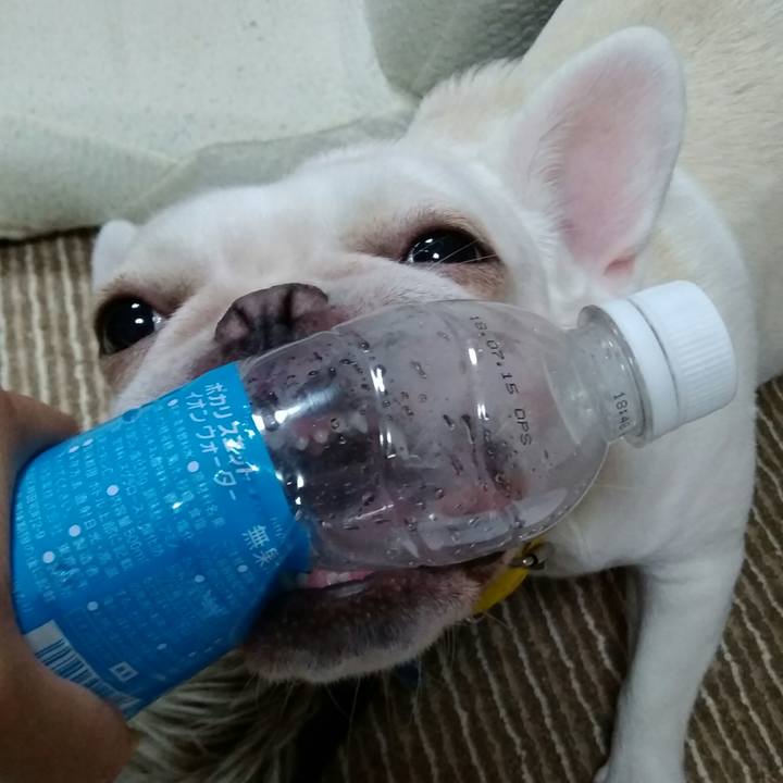 9070dcf2 b846 4352 aef2 6205910a3053