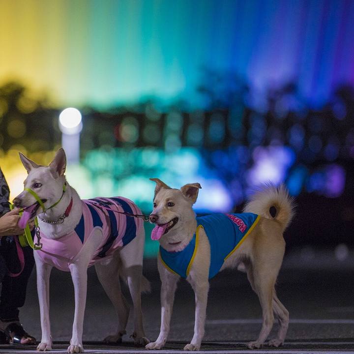 907108d6 58c4 4270 a2e0 0380e4662d87