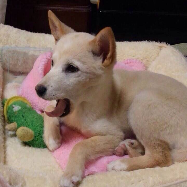 9071722c a293 4359 b3e8 fab4fa0256a6