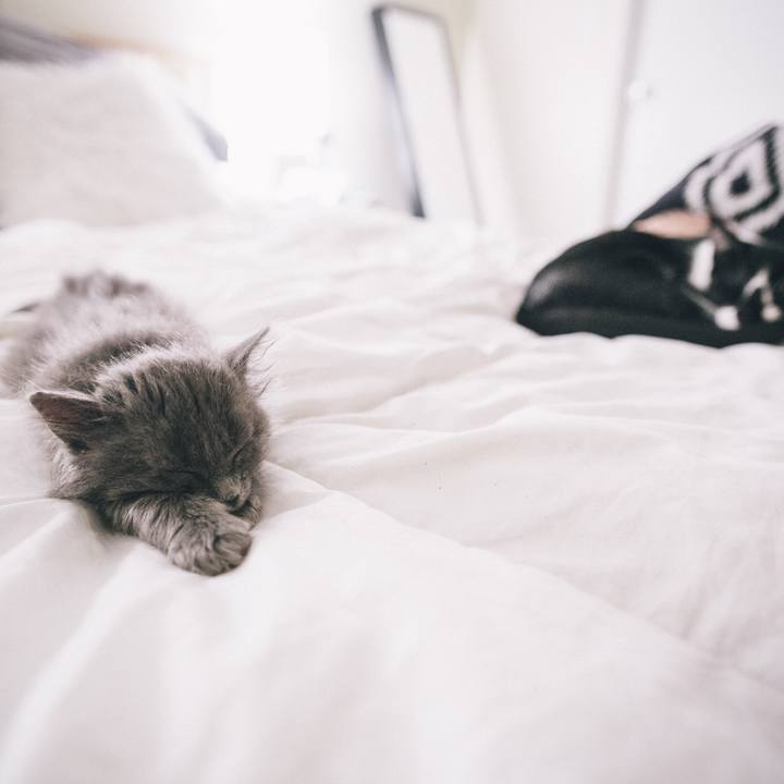 9071e957 c102 4852 956a 91543ba60b9d