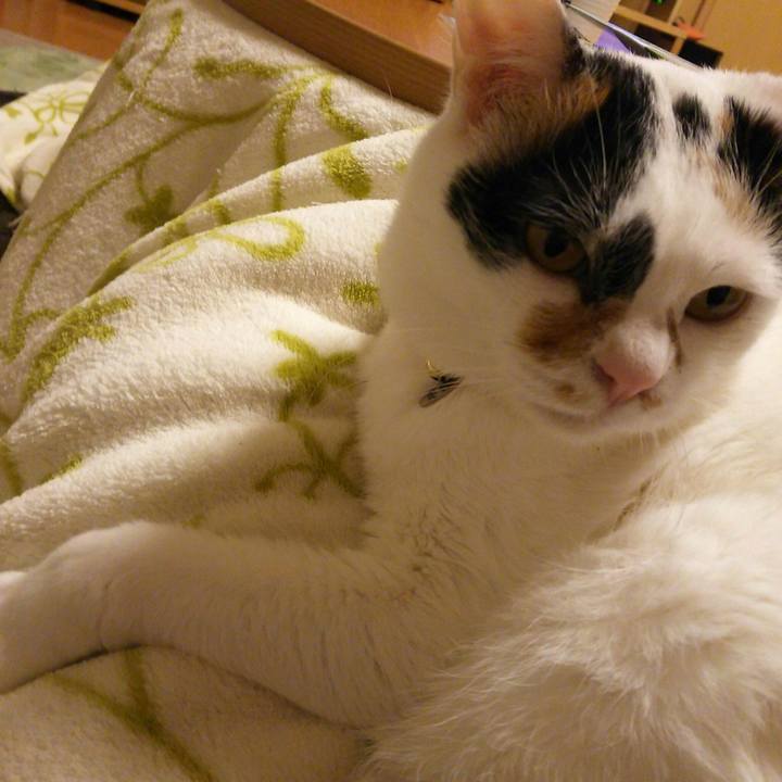 9071ed3f 06cf 4ef6 81ff 0e1db74f7018