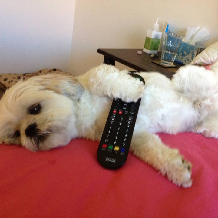 9072b883 12e1 4a82 9e9c f3ef2627a576