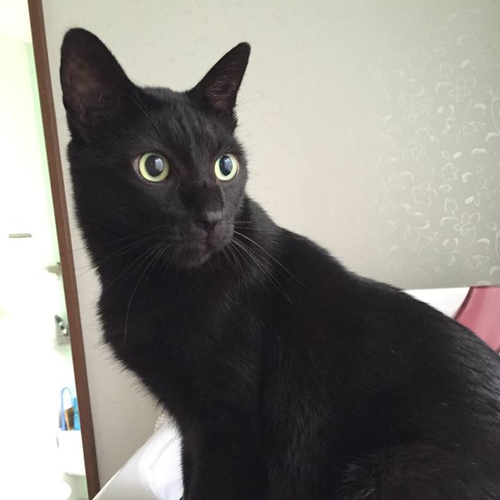 9072c978 074a 4415 8a1c 0ead1cc51937